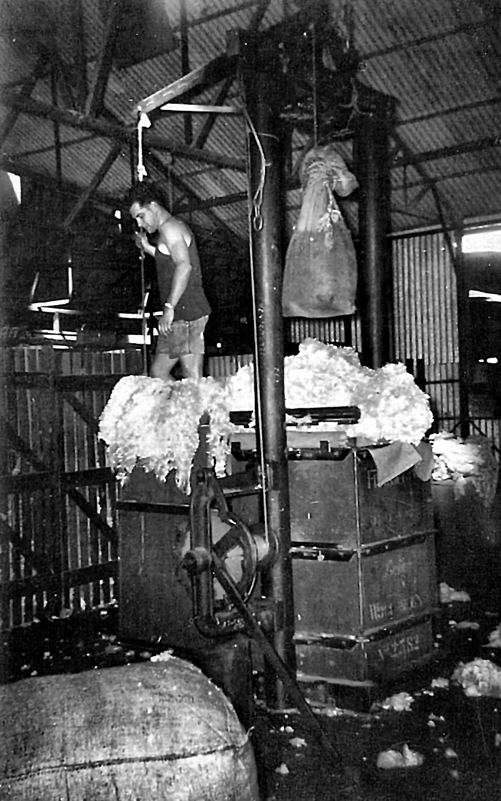 The wool press