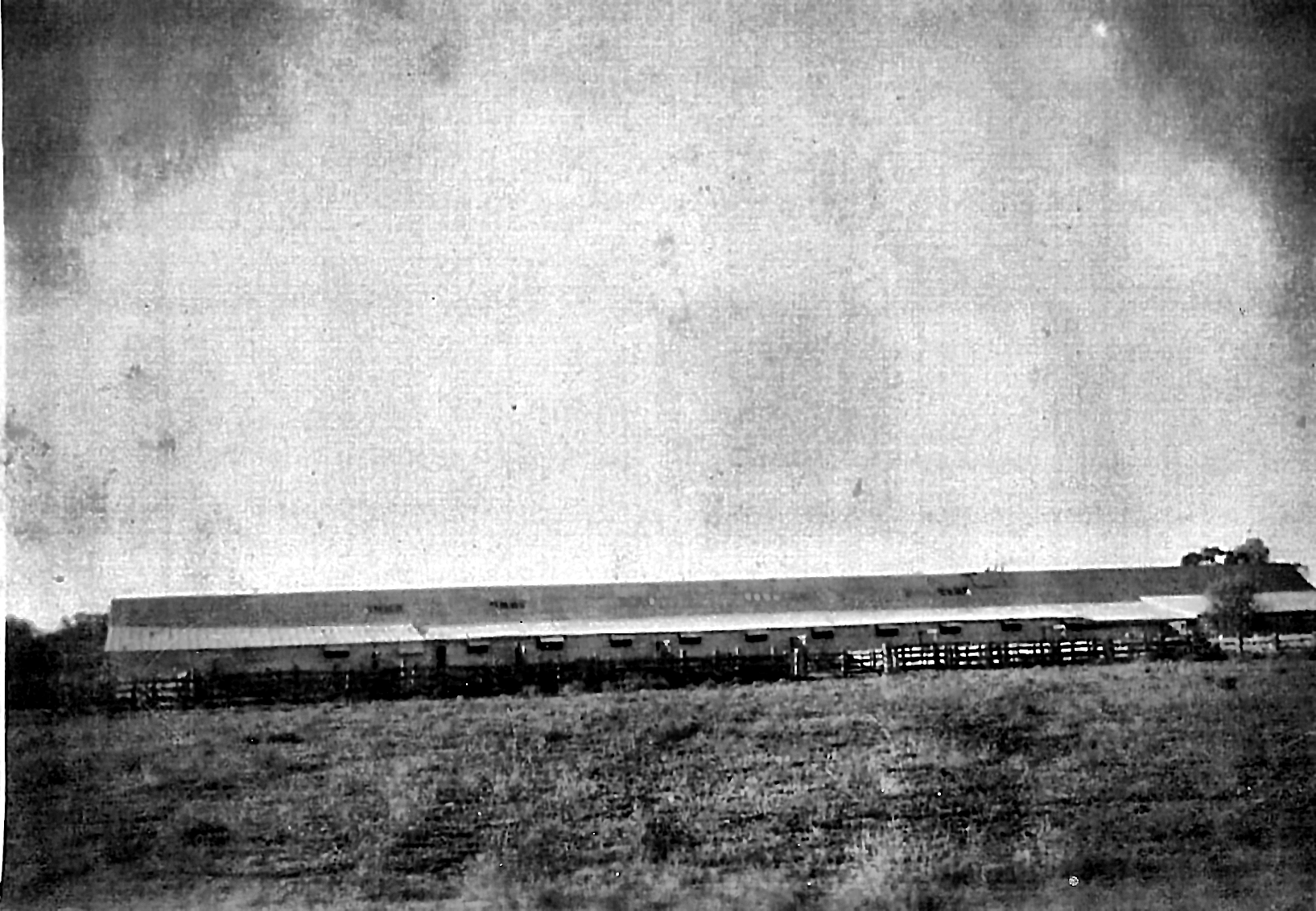 The shearing shed at Toganmain, July 1955
