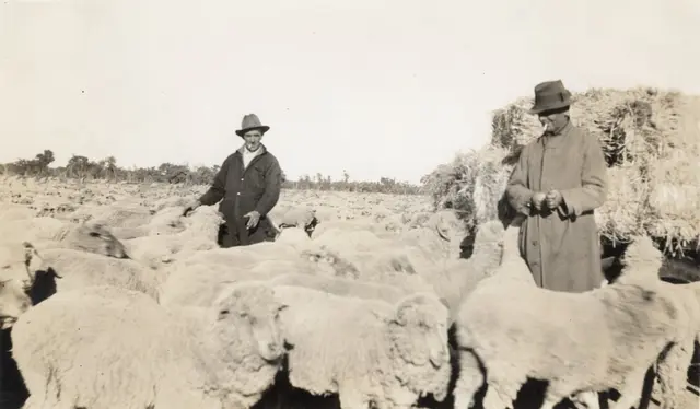 Bill Richardson and Jimmy Stewart feeding stock in Old Pines, 1937