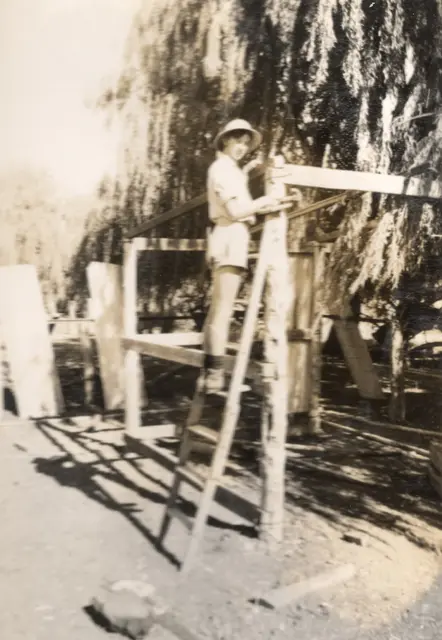 Bill McBratney builds a stable, stage one