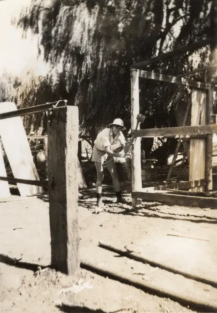 Bill McBratney builds a stable, stage two