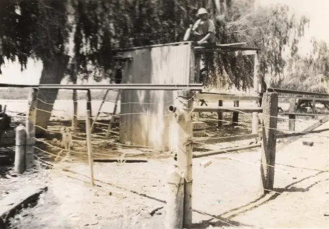 Bill McBratney builds a stable, stage three