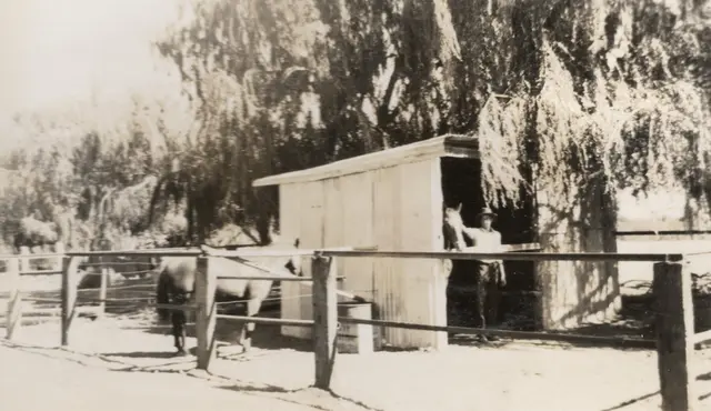 Bill McBratney builds a stable, stage four