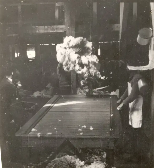 A fleece thrown onto the skirting table, Toganmain Wool Shed, 1947