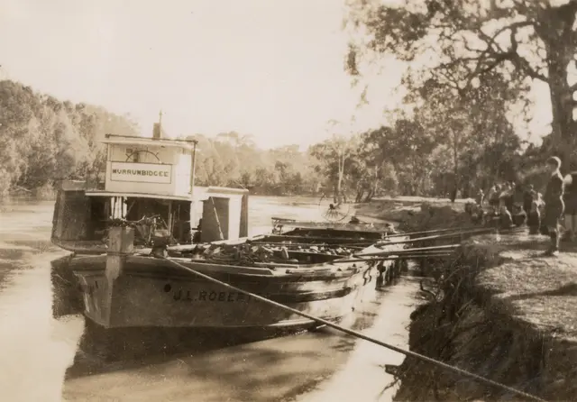 The paddle steamer Murrumbidgee towing a barge of wood, 1920s