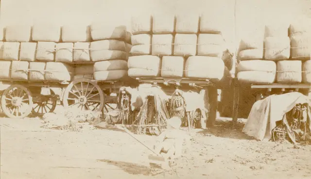 Wool wagons at Toganmain, 1920s