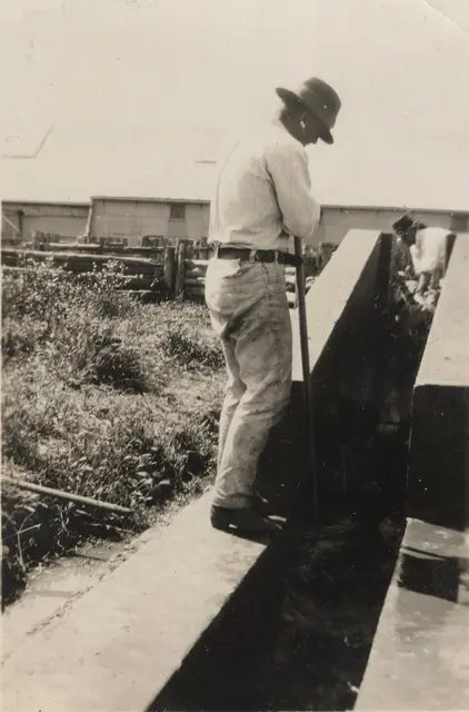 H. Hicky dipping sheep at Toganmain, 1940s