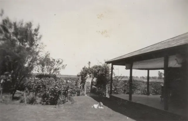 The verandah at the McBratney's house, 1943