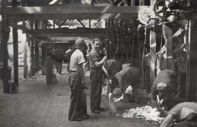 Shearing in the Toganmain Shed, 1945