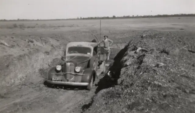 John Snr McBratney taking ensilage from the pit to feed sheep, 1945