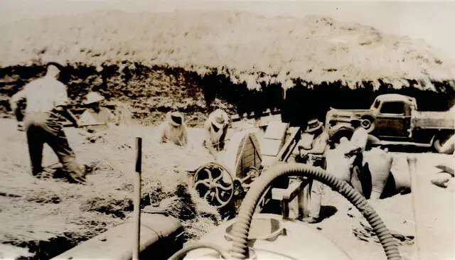 Chaff cutting at Toganmain, 1945