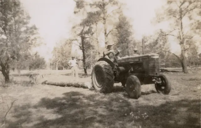 Jo collecting wood, 1948