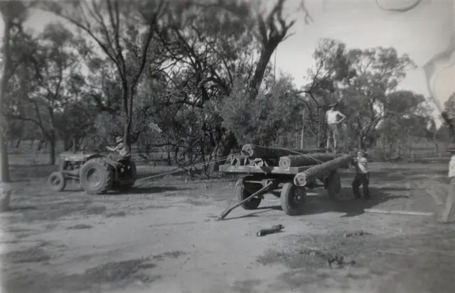 Jo and Hayes collecting wood, 1948