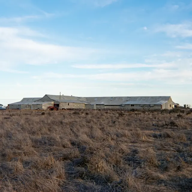 Toganmain woolshed