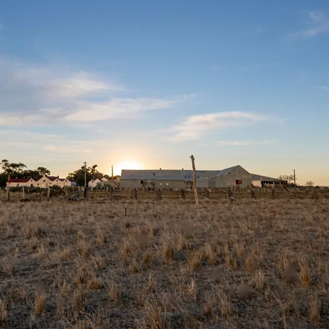 Toganmain woolshed at dusk
