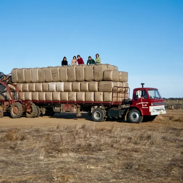 Don McGregor, Ross Grimmer, Michael Morwood, Matthew Goddard and John Smyth on the wool bales