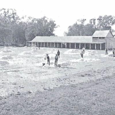 Drying Wool
