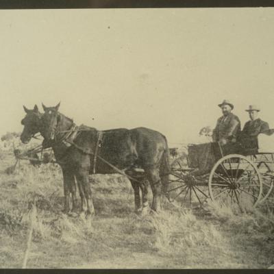 Dsc 9518 Horse And Buggy