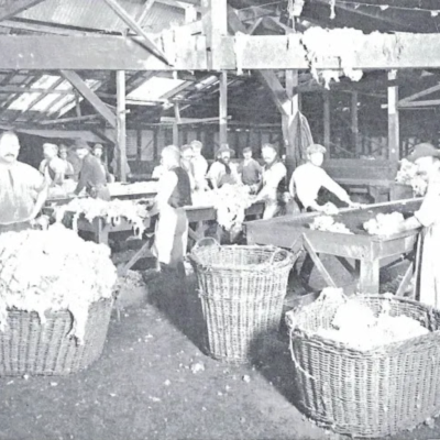 The Wool Tables