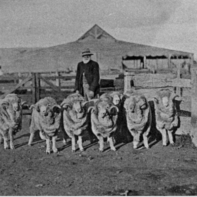 Toganmain Woolshed 1910