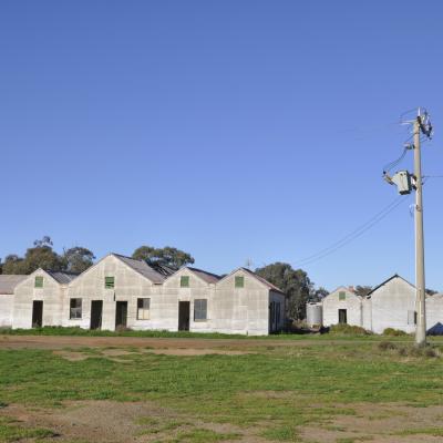 Dsc0126