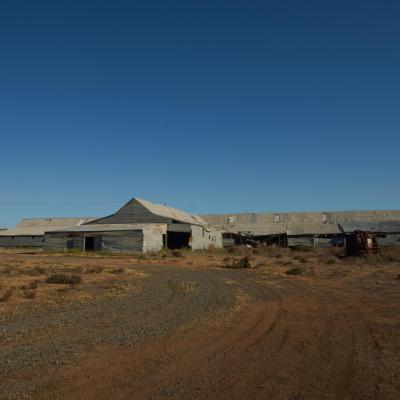 Dsc06467