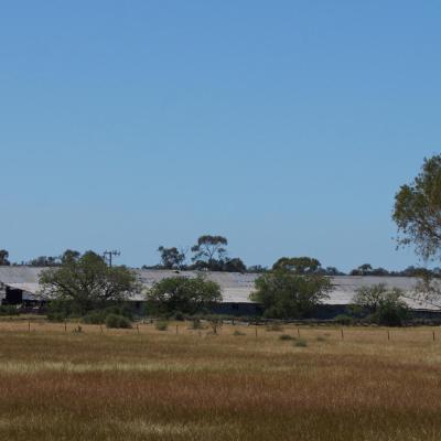 Toganmain Woolshed East Of Hay Nsw