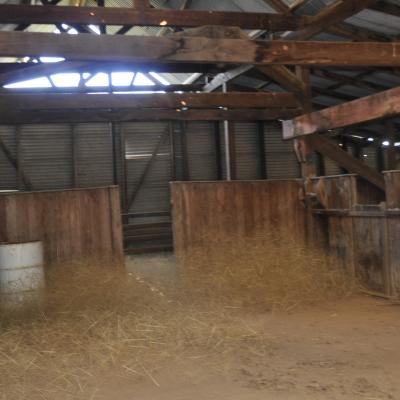 Dsc0041