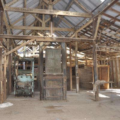 Dsc0070