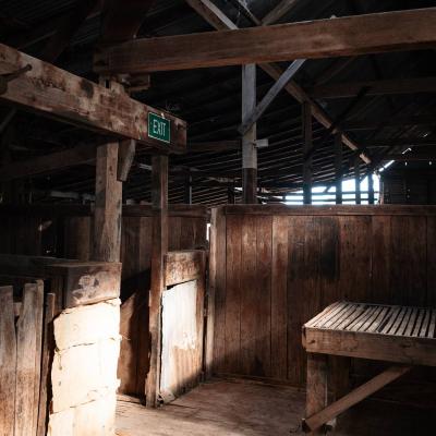 Toganmain Woolshed Anniversary Weekend 23