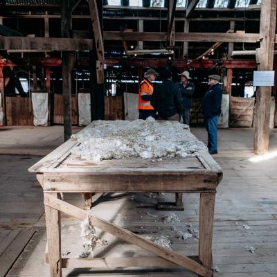Toganmain Woolshed Anniversary Weekend 29