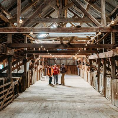Toganmain Woolshed Anniversary Weekend 30