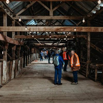Toganmain Woolshed Anniversary Weekend 4