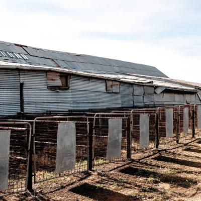 Toganmain Woolshed Anniversary Weekend 72